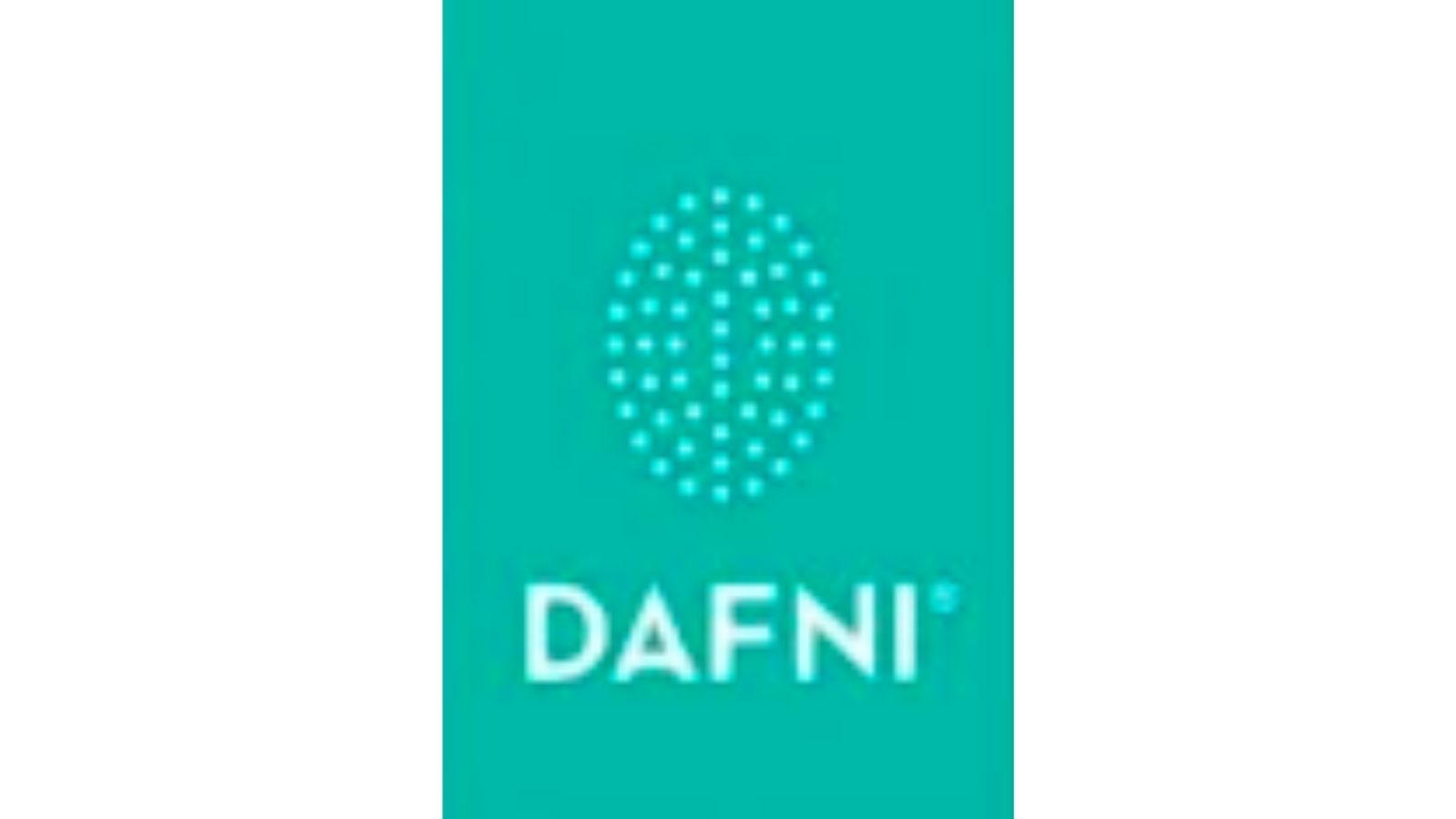 DAFNI，世界第一款直發(fā)梳